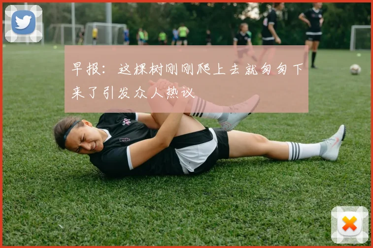 早报：这棵树刚刚爬上去就匆匆下来了引发众人热议